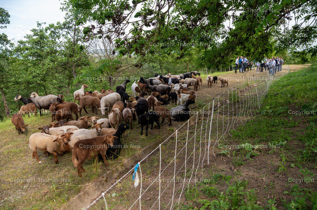 DSC_5585 | ETA-Plus Netzwerktreffen: Wasserstofffahrzeuge, Zweckverband Abfallwirtschaft Kreis Bergstraße, Lampertheim, die Besichtigung der Erzeugeranlagen beim ZAKB mit Christopher Göttelmann, ,, Bild:  Thomas Neu
