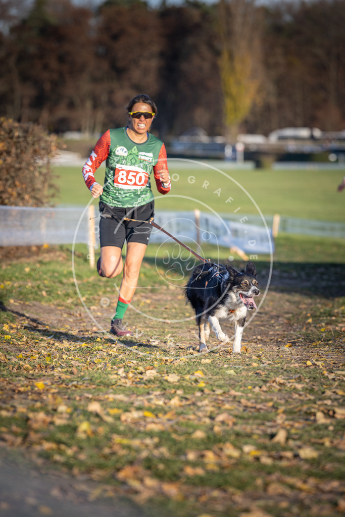 CaniXpix_DV3A3865 | Hundefotografie, Tierfotograf, Pfotenfotografie, Fotoshooting Hund, Hunde Portrait, Hundesport, Hundeportraits, Heideshooting, Hunde, Sportfotograf, Hundefotograf, Turnierhundsport, THS,  - Realisiert mit Pictrs.com
