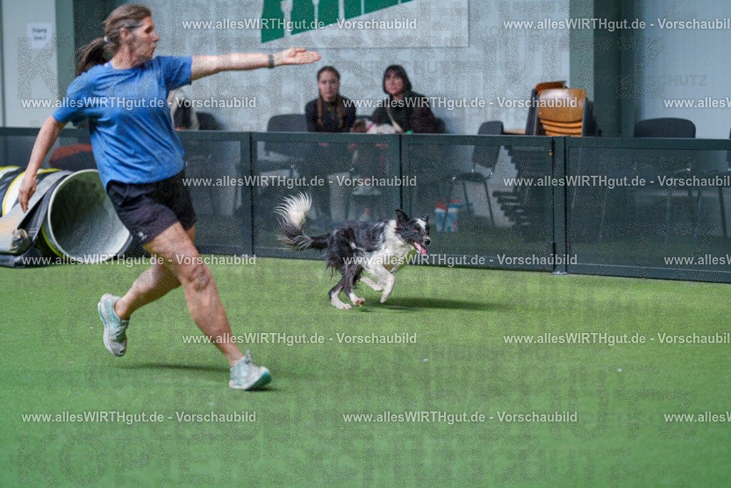 @allesWIRTHgut_Tierfotografie - www.allesWIRTHgut.de - 2604261524-7R505487 | Professionelle Tierfotografie in Mönchengladbach von Daniel Wirth (allesWIRTHgut). Liebevolle & natürliche Bilder von Hunden & Katzen für unvergessliche Erinnerungen.