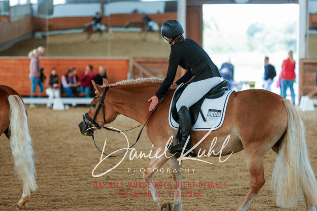 _62_5833 | Turniersportfotografie; Pferdefotografie; Dressurfotografie