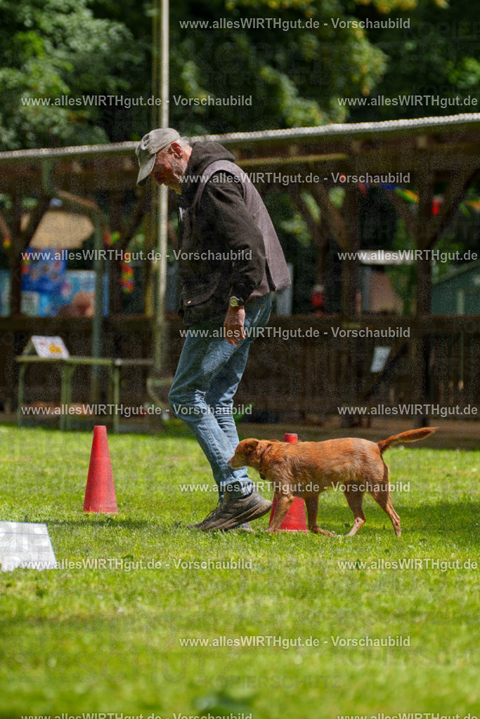 @allesWIRTHgut_Tierfotografie - www.allesWIRTHgut.de - 121703-7R508789 | Professionelle Tierfotografie in Mönchengladbach von Daniel Wirth (allesWIRTHgut). Liebevolle & natürliche Bilder von Hunden & Katzen für unvergessliche Erinnerungen.