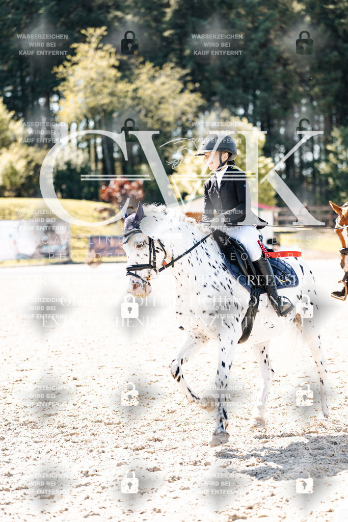 CK904283 | Turnierfotografie Pferdefotografie Trier Rheinland-Pfalz Pferdesport Reitsport Tierfotografie Sportfotografie Pferdevideo Pferdevideografie Equestrianvideography equestrianphotography  - Realisiert mit Pictrs.com