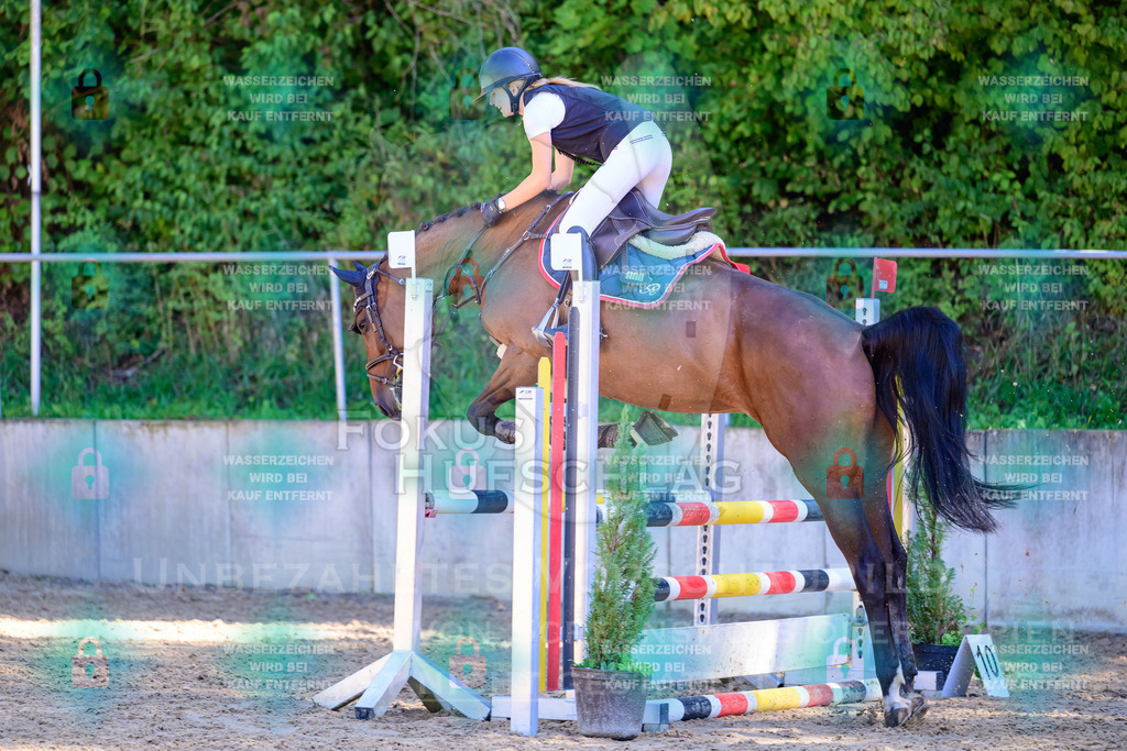 29082026-Giesenbach-Prfg10-0656 | Fokus Hufschlag Fotografie - Realisiert mit Pictrs.com