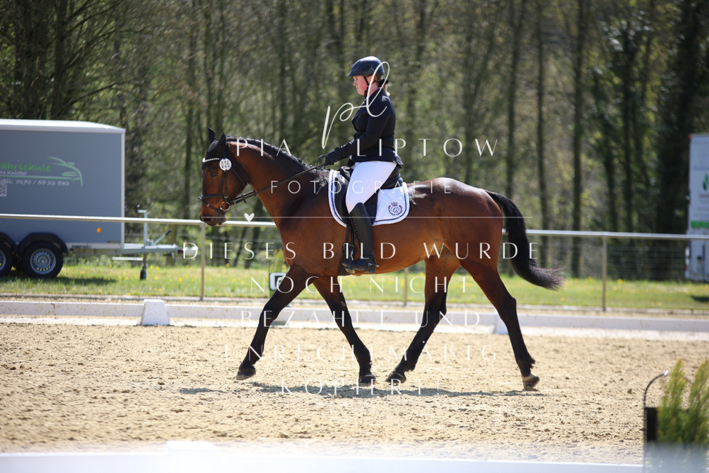 IMGT1668 | pl-fotografie