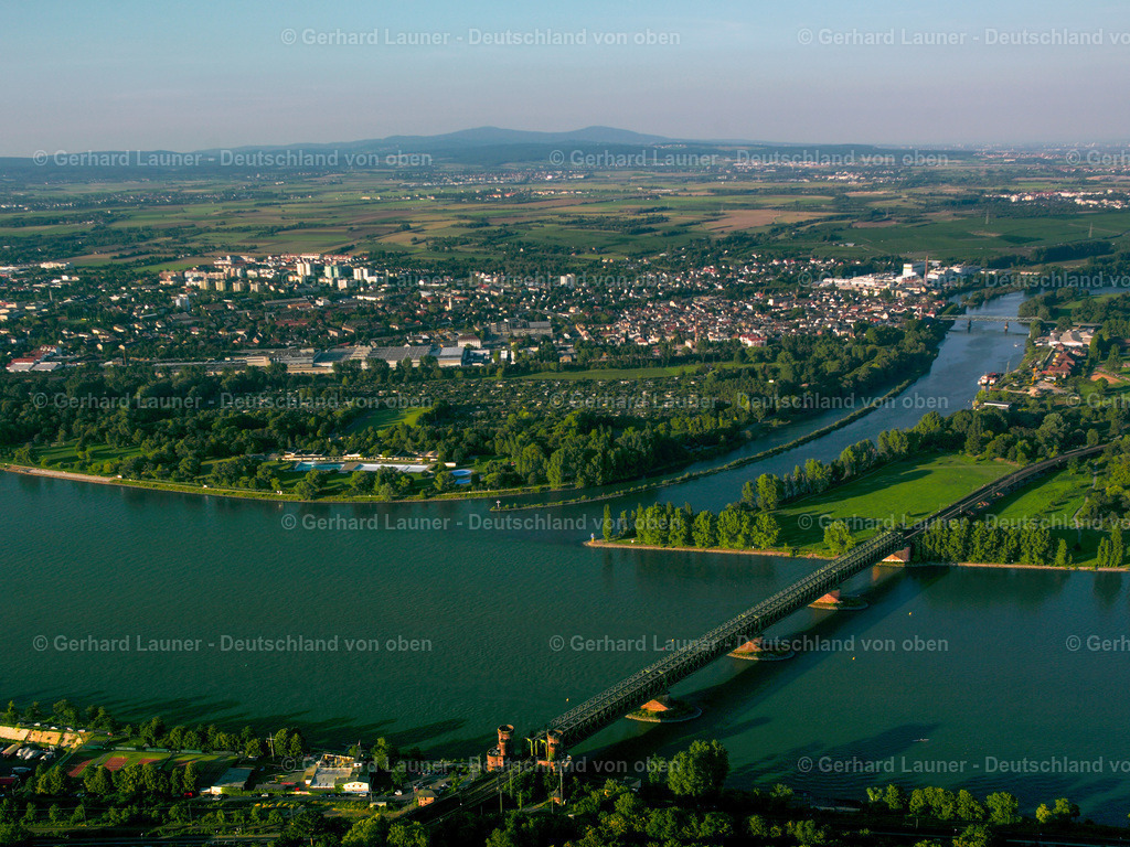 7000699 | Mainmündung bei Mainz