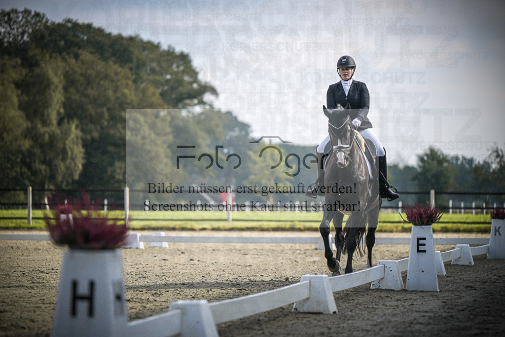 DOS_B722 | Entdecke hochwertige Reitturnierfotos von Foto Oger. Professionell, emotional und authentisch – jetzt Lieblingsmomente im Shop bestellen.Deutschlandweite Turnierfotografie. - Realisiert mit Pictrs.com