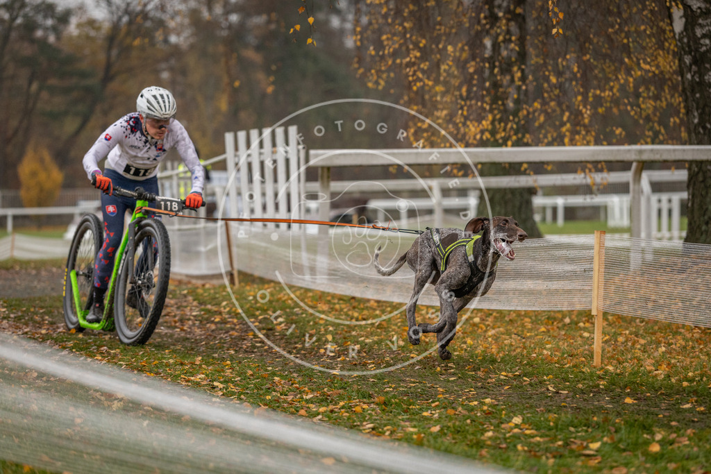CaniXpix_DV3A7759 | Hundefotografie, Tierfotograf, Pfotenfotografie, Fotoshooting Hund, Hunde Portrait, Hundesport, Hundeportraits, Heideshooting, Hunde, Sportfotograf, Hundefotograf, Turnierhundsport, THS,  - Realisiert mit Pictrs.com