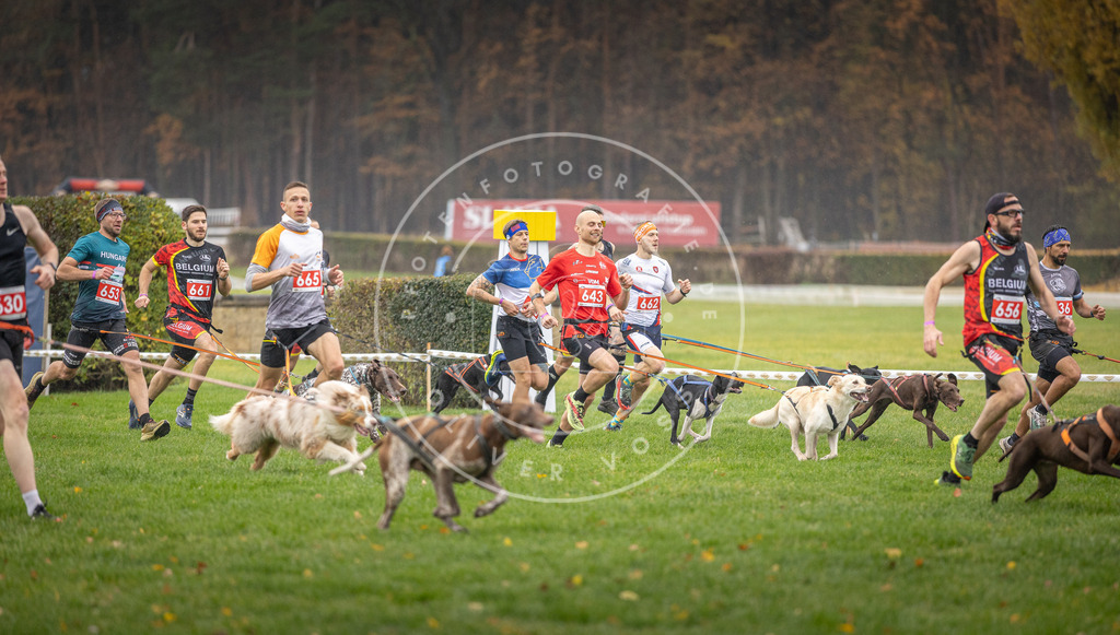 CaniXpix_DV3A9487 | Hundefotografie, Tierfotograf, Pfotenfotografie, Fotoshooting Hund, Hunde Portrait, Hundesport, Hundeportraits, Heideshooting, Hunde, Sportfotograf, Hundefotograf, Turnierhundsport, THS,  - Realisiert mit Pictrs.com