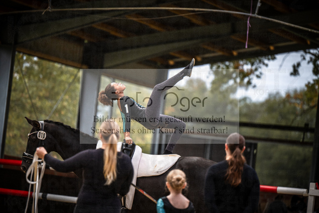 DOS_0184 | Entdecke hochwertige Reitturnierfotos von Foto Oger. Professionell, emotional und authentisch – jetzt Lieblingsmomente im Shop bestellen.Deutschlandweite Turnierfotografie. - Realized with Pictrs.com