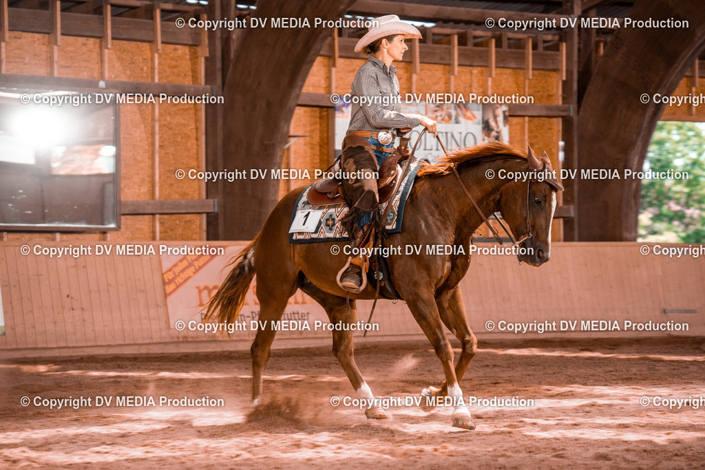 NE100731 | dv-media-shop - Realisiert mit Pictrs.com