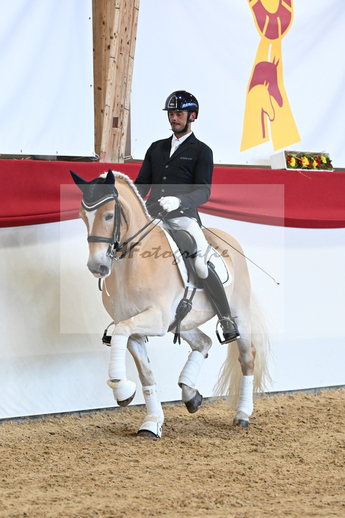 Schauprogramm Haflinger_DSP Amiro_2251536 | hf-fotografie - Realizzato con Pictrs.com