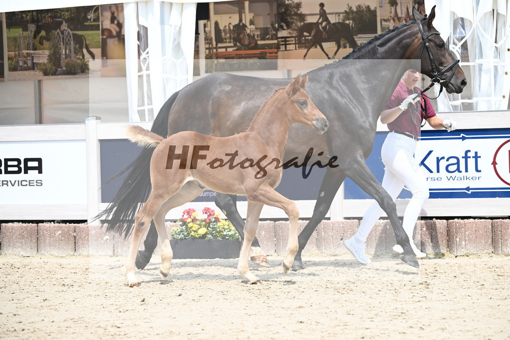 Vjento x Follow Me_SF_Wiedemann u Schmiech_12250555 | hf-fotografie - Realisiert mit Pictrs.com