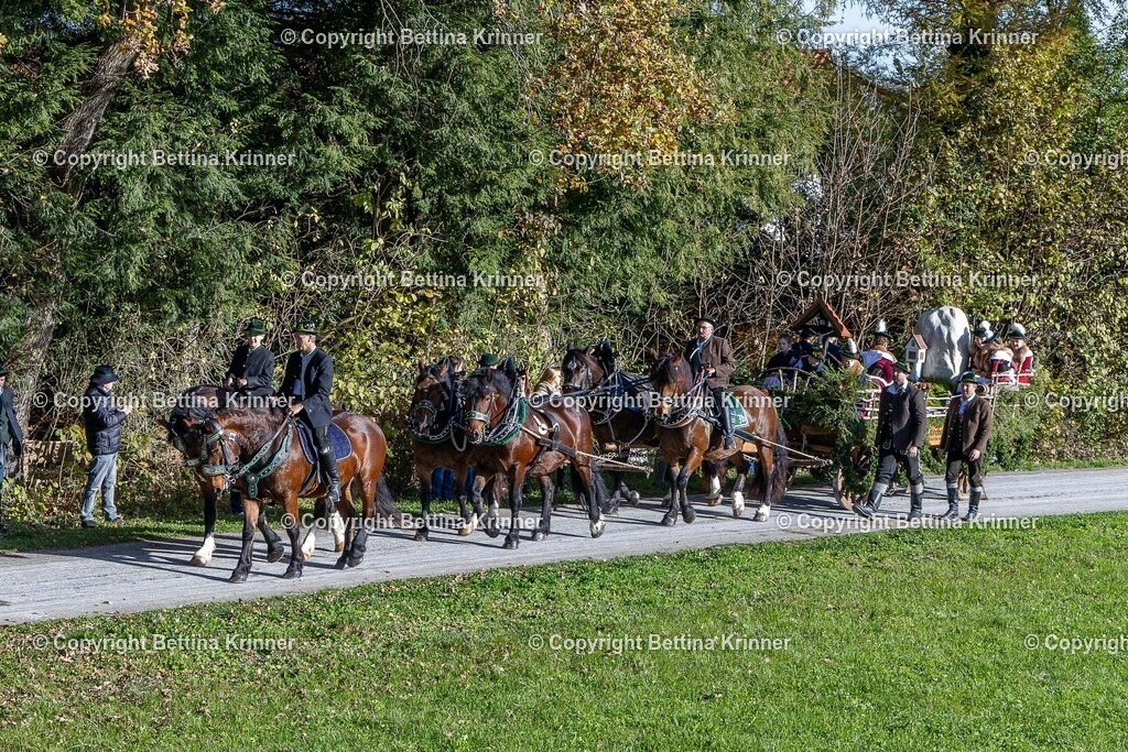 LBT24-754 | foto-bettina-krinner - Realisiert mit Pictrs.com