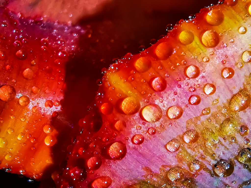 PSX_20230405_230457 | mtkfoto_ - Realisiert mit Pictrs.com