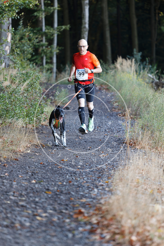0L8A1710 | Hundefotografie, Tierfotograf, Pfotenfotografie, Fotoshooting Hund, Hunde Portrait, Hundesport, Hundeportraits, Heideshooting, Hunde, Sportfotograf, Hundefotograf, Turnierhundsport, THS,  - Realisiert mit Pictrs.com