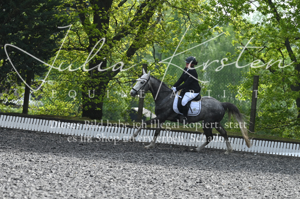 20230512_JK-Röhrsdorf-01-037 | Pferde- und Turnierfotografie in Westsachsen. Pferdeportraits, Auftragszeichnungen und intuitive Kunst.