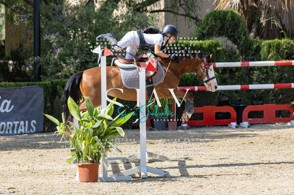 IMG_9943 | s-jay-photography - Realisiert mit Pictrs.com