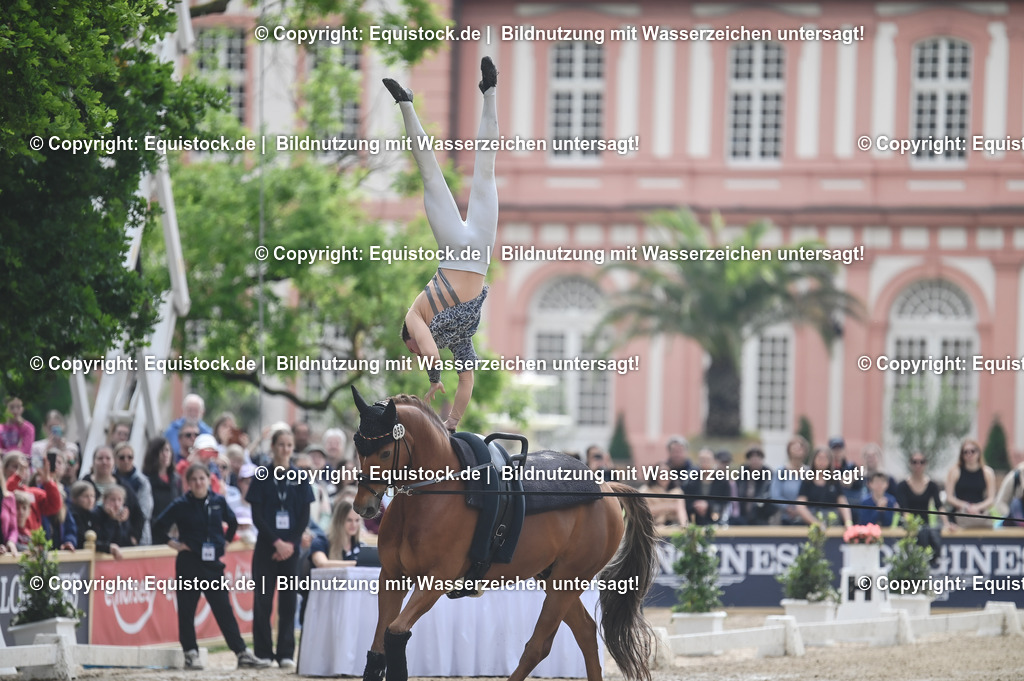20240519_Voltige_0561 | Foto: Thomas Hartig