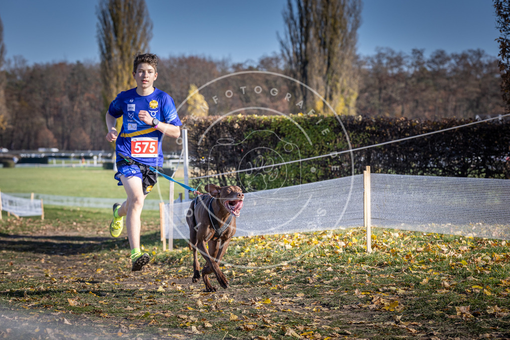CaniXpix_DV3A8956 | Hundefotografie, Tierfotograf, Pfotenfotografie, Fotoshooting Hund, Hunde Portrait, Hundesport, Hundeportraits, Heideshooting, Hunde, Sportfotograf, Hundefotograf, Turnierhundsport, THS,  - Realisiert mit Pictrs.com