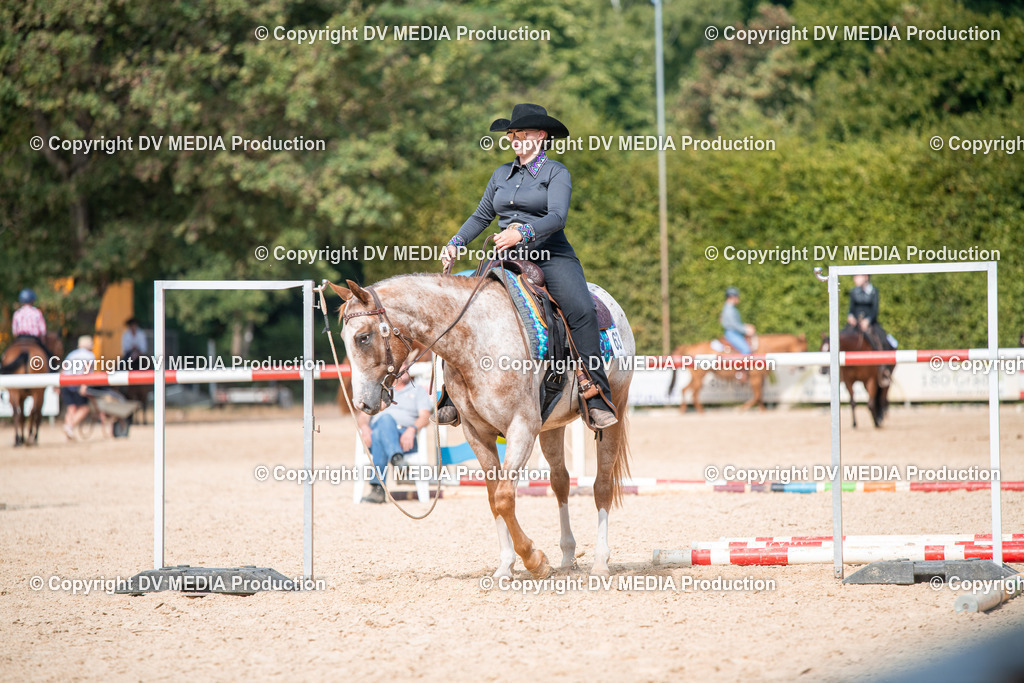 EWP_6915 | dv-media-shop - Realisiert mit Pictrs.com