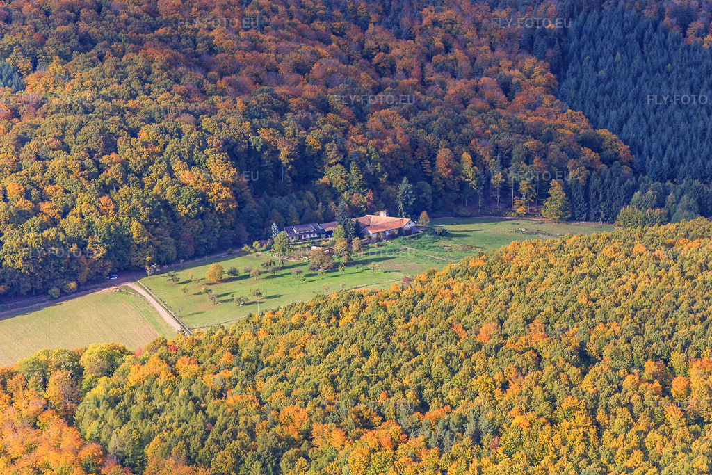 Vue aérienne: Ferme Mellon et Villa Le Riesack à Niederbronn-les-Bains dans le département Bas Rhin, France – .Photo: IMG_084714.jpg prise le 23/10/2015 par Werner Riehm/FLY-FOTO.eu – Résolution de l'original: 5472 x 3648 px – Ferme Mellon - Restaurant et chambres d'hôtes – Gite de groupe en Alsace. Fetes de famille. Villa le Riesack. Capacit\xc3\xa9: 30 \xc3\xa0 50 Personnes