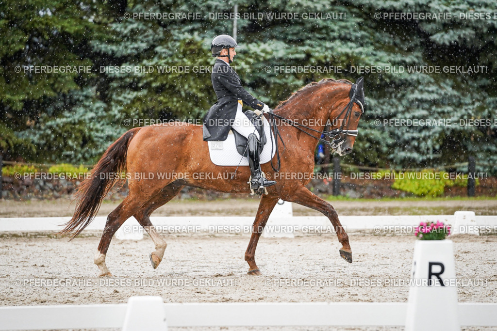 DSC08998 | Pferdegrafie