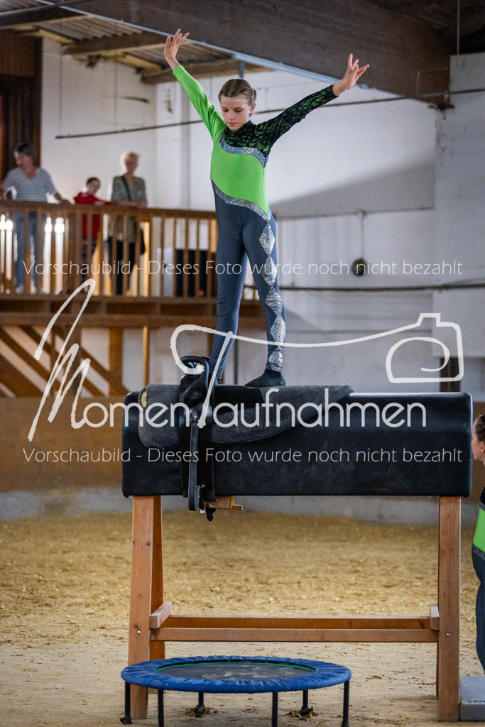 Holzpferd-001 | MomenTaufnahmen Pferdesportfotos