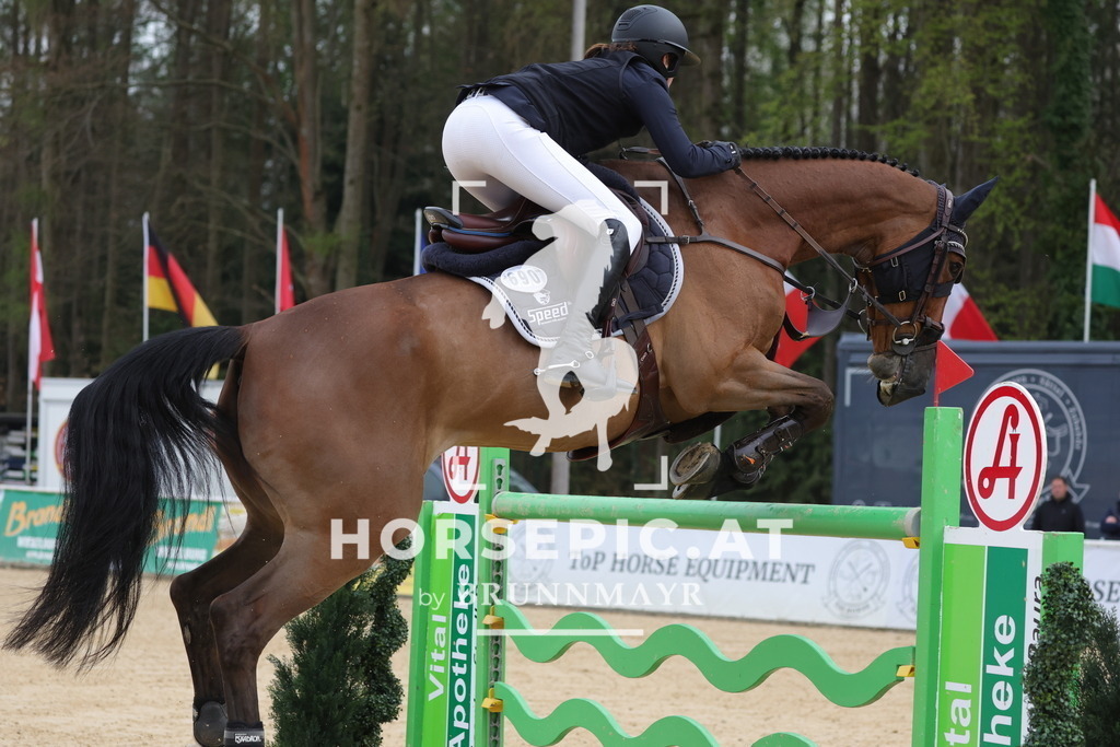 0P6A7664 | Willkommen bei Brunnmayr - Design & Fotografie – Ihrem Spezialisten für Reitturniere und Pferdeveranstaltungen in Oberösterreich, Salzburg und Bayern! Seit über 17 Jahren sind wir leidenschaftlich dabei.