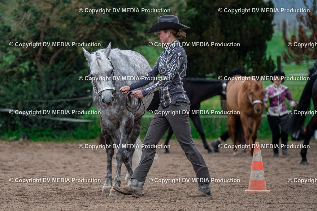 BA300050 | dv-media-shop - Realisiert mit Pictrs.com