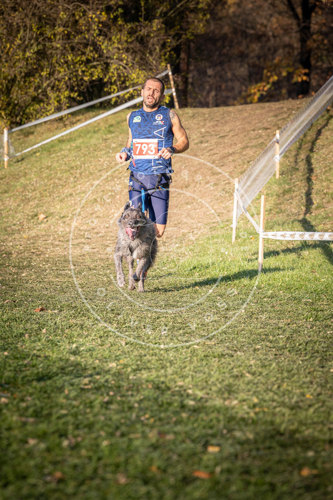 CaniXpix_0L8A0223 | Hundefotografie, Tierfotograf, Pfotenfotografie, Fotoshooting Hund, Hunde Portrait, Hundesport, Hundeportraits, Heideshooting, Hunde, Sportfotograf, Hundefotograf, Turnierhundsport, THS,  - Realisiert mit Pictrs.com