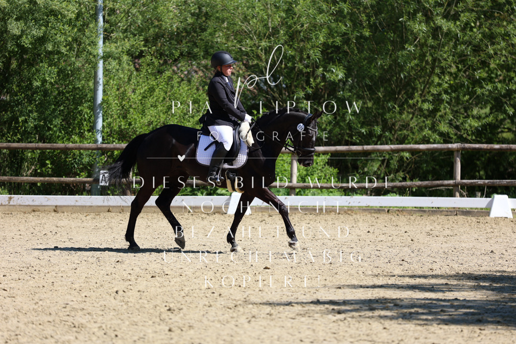 IMGT0591 | pl-fotografie