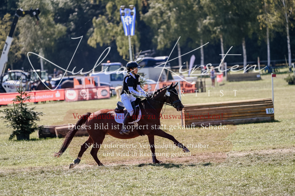 DSC_2816 | Pferde- und Turnierfotografie in Westsachsen. Pferdeportraits, Auftragszeichnungen und intuitive Kunst.