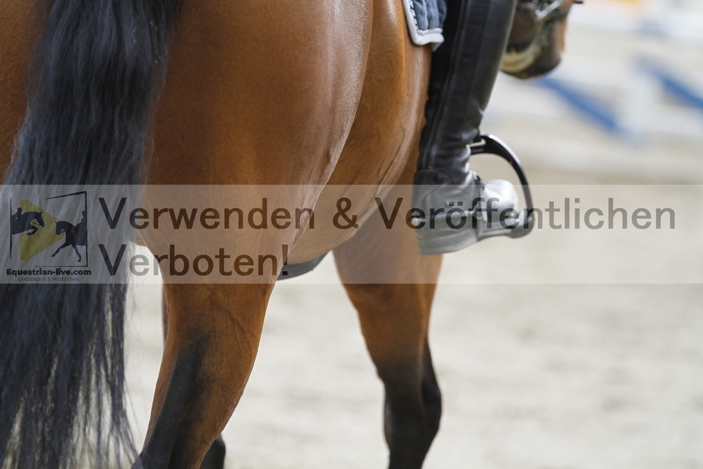 _MG_2981 | equestrian-live-com