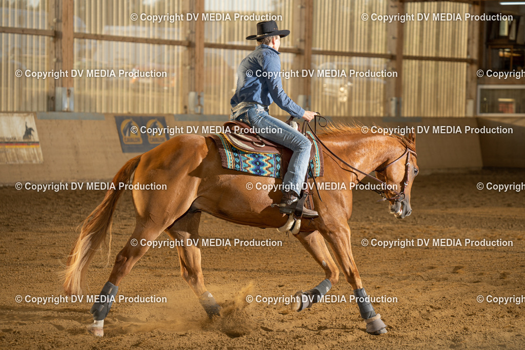 LAU02021 | dv-media-shop - Realisiert mit Pictrs.com