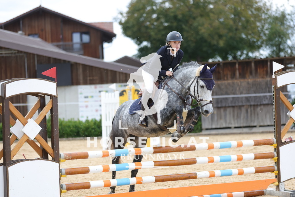 0P6A8894 | Willkommen bei Brunnmayr - Design & Fotografie – Ihrem Spezialisten für Reitturniere und Pferdeveranstaltungen in Oberösterreich, Salzburg und Bayern! Seit über 17 Jahren sind wir leidenschaftlich dabei.