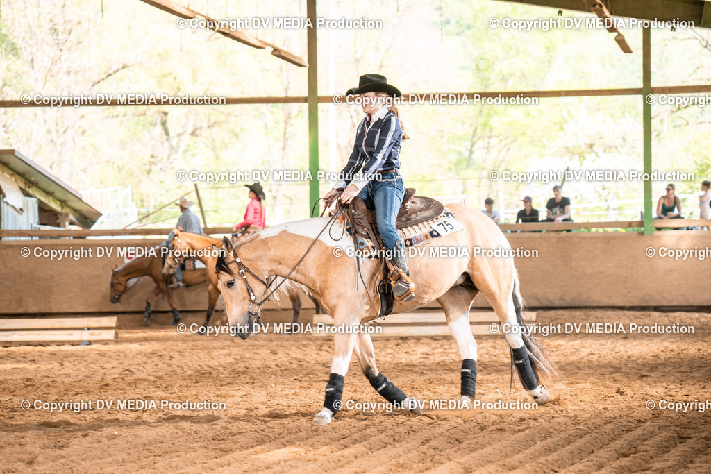 Balingen Tag 5-838 | dv-media-shop - Realisiert mit Pictrs.com