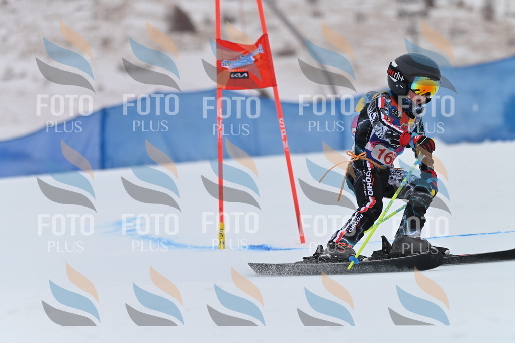 BGV_0381 | holidayphoto