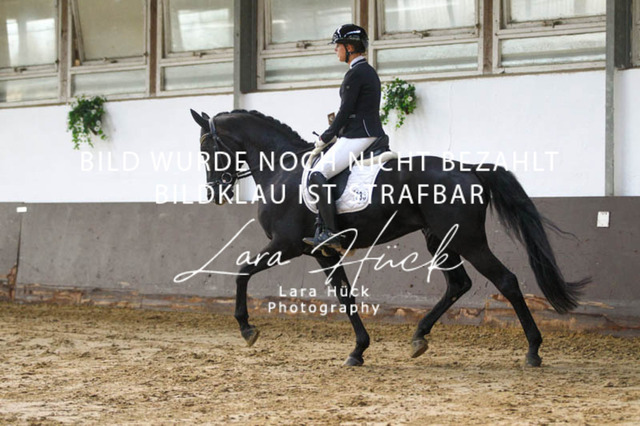 DKP45875 | larahueckfotografie
