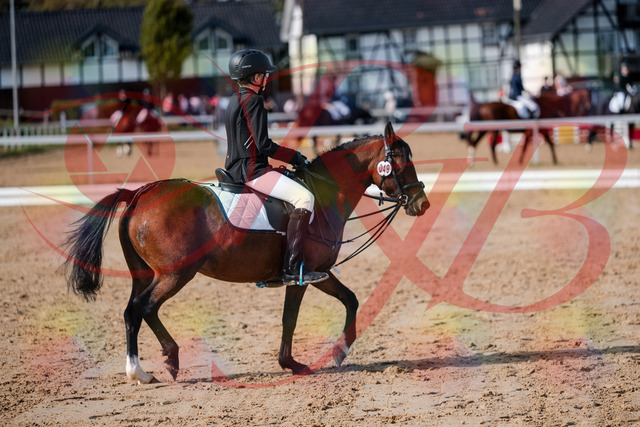 2026_10_03_Siefer-Hof_122021_Z63_42906546 | Professionelle Reitsport-, Turnier- und Eventfotografie von Robert Broda. Galerien mit ausgewählten und bearbeiteten Bildern direkt online ansehen und bestellen.