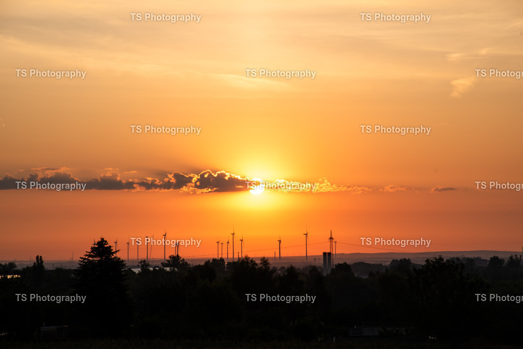 IMG_8593_TIF | TS Photography - Realisiert mit Pictrs.com