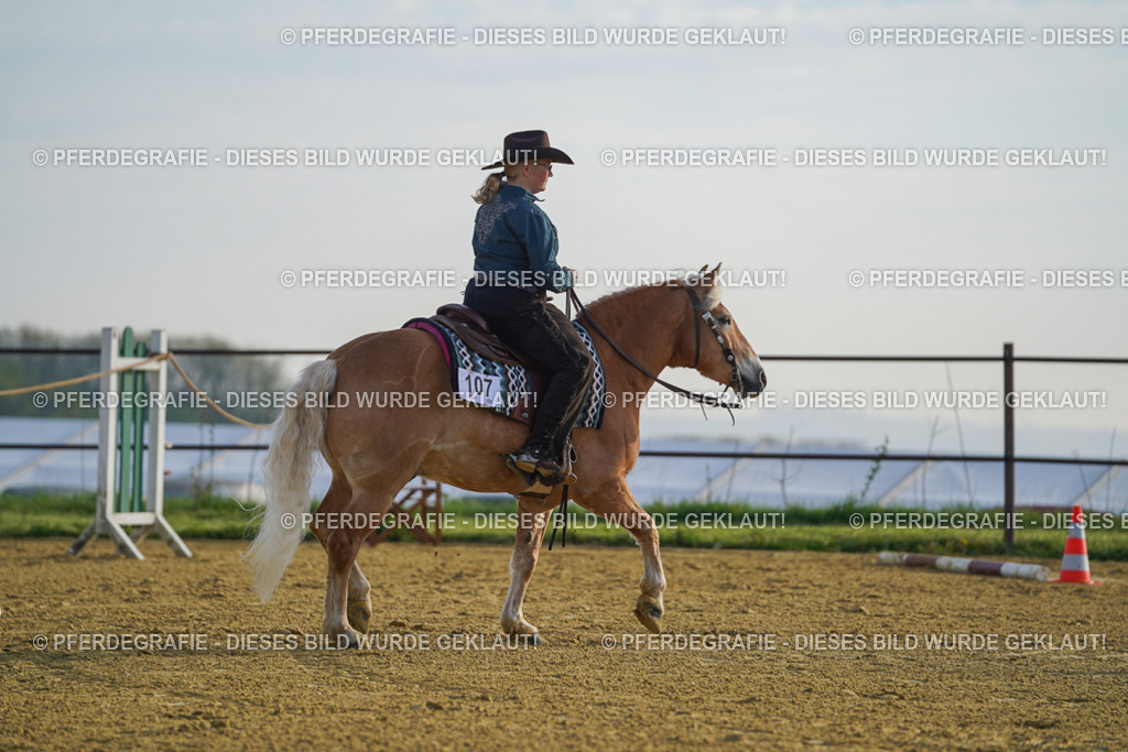 DSC00322 | Pferdegrafie