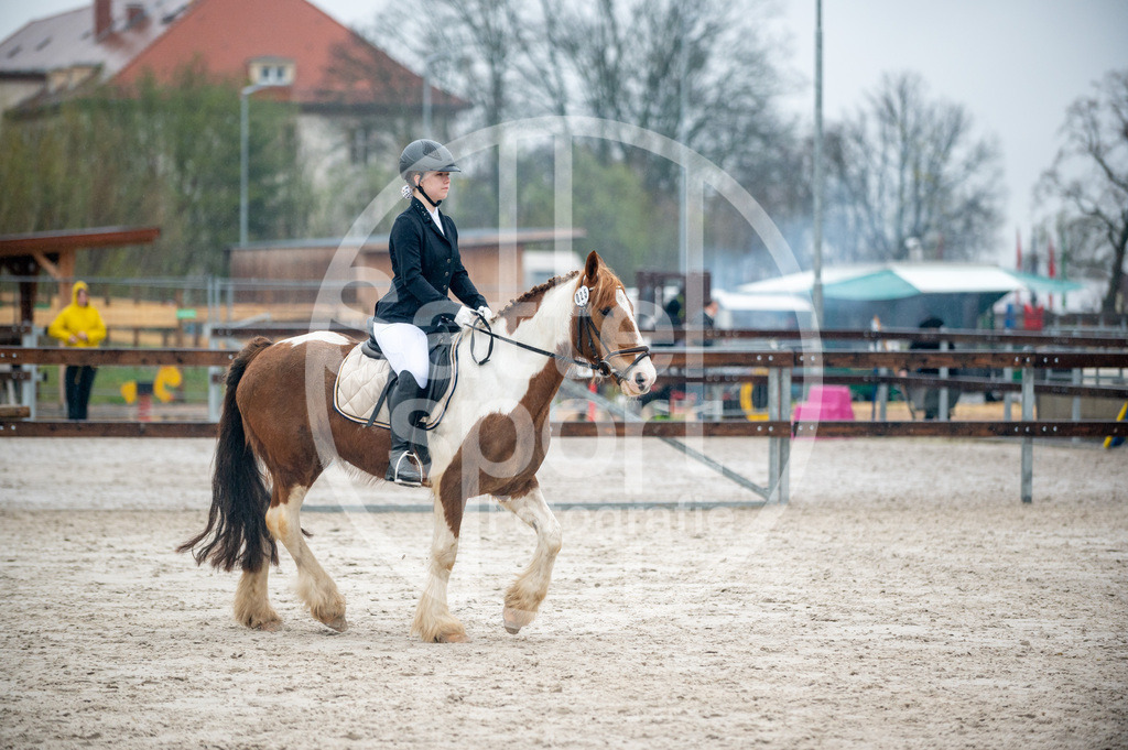 DSC_5009 | sattelsport - Realisiert mit Pictrs.com