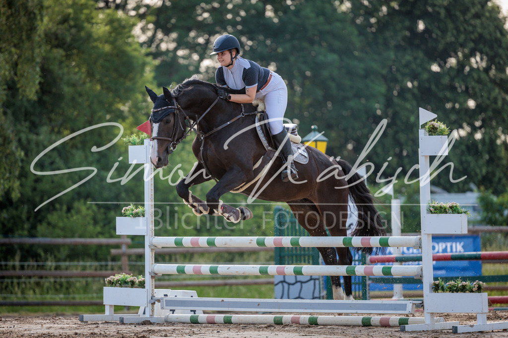 20260529-_3LI1190 | Tierfotografie Pferde, Hunde, Katzen, Haustiere.
Turnierfotografie Reitturniere, Reiten, Springreiten, Dressur in Hanau, dem Main-Kinzig-Kreis und dem Rhein-Main- Gebiet um Frankfurt