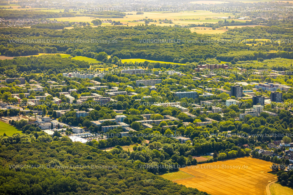 Dortmund220704199 | Luftbild, Wohngebiet zwischen Flughafenstraße und Werzenkamp, grüne Bäume, Scharnhorst-Ost, Dortmund, Ruhrgebiet, Nordrhein-Westfalen, Deutschland