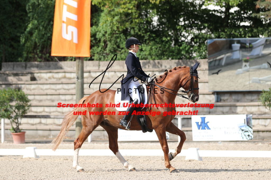 IMG_6478 | lmwpictures - Realisiert mit Pictrs.com