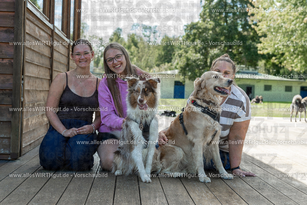 Hundeschwimmen_Volksbad_2026-allesWIRTHgut_Tierfotografie-2609061421-7R501053 | Professionelle Tierfotografie in Mönchengladbach von Daniel Wirth (allesWIRTHgut). Liebevolle & natürliche Bilder von Hunden & Katzen für unvergessliche Erinnerungen.