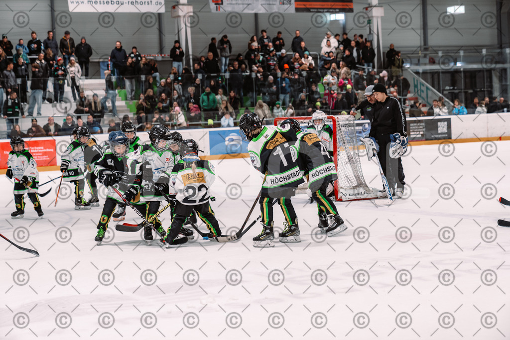 Alligators_vs_Stuttgart_16_11_2025-83 | Höchstadt Alligators Fotogalerie: Eishockey-Action aus Franken. Professionelle Spielfotos, Portraits & Stadionbilder zum Download. Jetzt entdecken! - Realisiert mit Pictrs.com