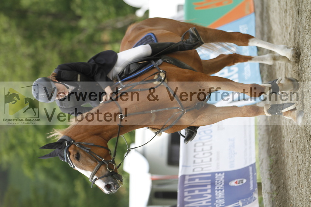 _MG_4264 | equestrian-live-com