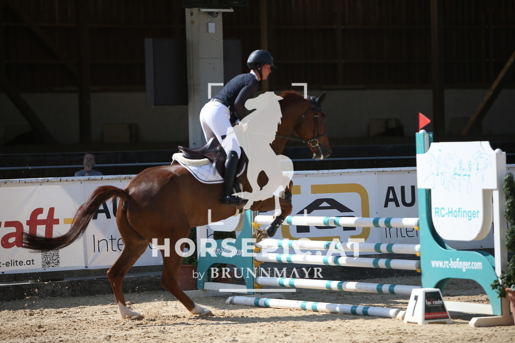 PP015961 | Willkommen bei Brunnmayr - Design & Fotografie – Ihrem Spezialisten für Reitturniere und Pferdeveranstaltungen in Oberösterreich, Salzburg und Bayern! Seit über 17 Jahren sind wir leidenschaftlich dabei.