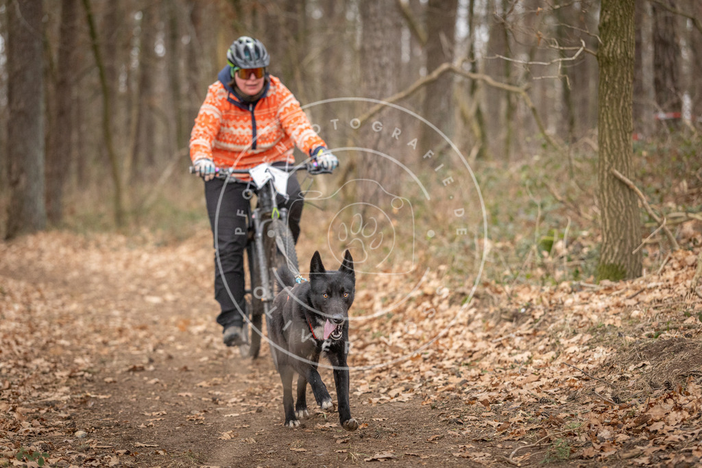 Pfotenfotografie_DV3A0375 | Hundefotografie, Tierfotograf, Pfotenfotografie, Fotoshooting Hund, Hunde Portrait, Hundesport, Hundeportraits, Heideshooting, Hunde, Sportfotograf, Hundefotograf, Turnierhundsport, THS,  - Realisiert mit Pictrs.com